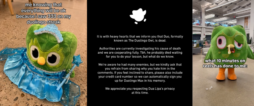 Duolingo's unhinged marketing mascot and strategy