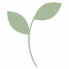 Grow - Fika Digital